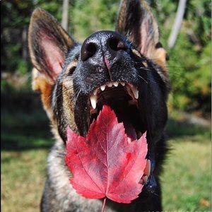 Meet your Posher, Lissel